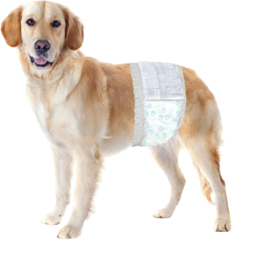 Disposable Male Dog Wraps Male Wraps Medium/Large